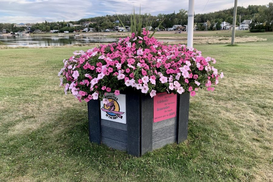A hexagonal recycled plastic planter full of pink petunias beside the water