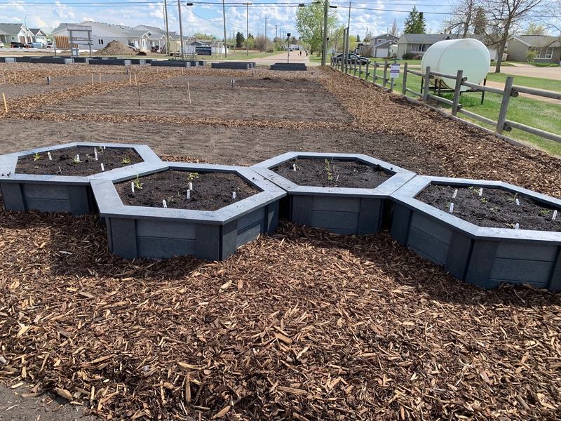 Hexagonal raised garden beds built from recycled plastic lumber