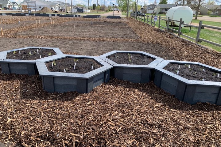 Hexagonal raised garden beds built from recycled plastic lumber in a community garden